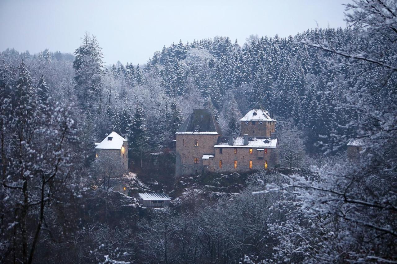 Le Bonheur De La Cascade 24 Pers - Malmedy, Wellness, Jardin, Confort Exterior photo