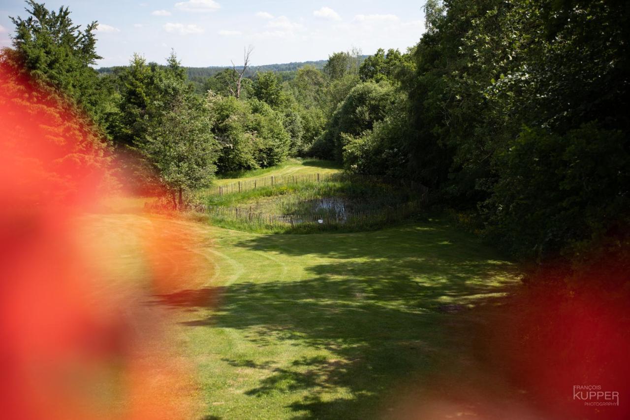 Le Bonheur De La Cascade 24 Pers - Malmedy, Wellness, Jardin, Confort Exterior photo